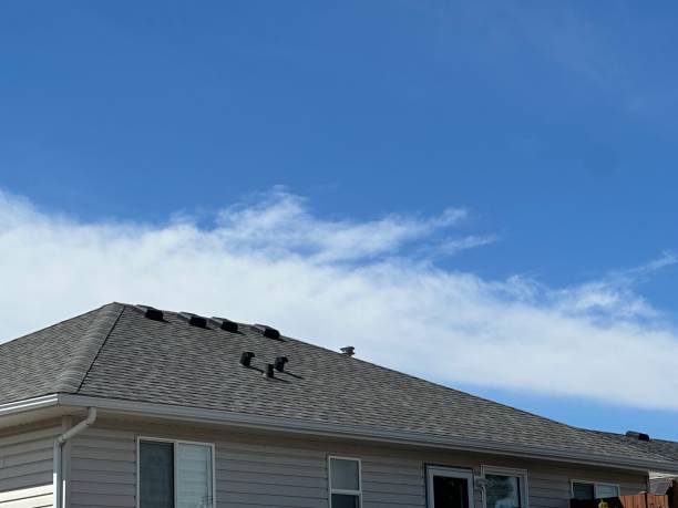 Best Roof Leak Repair  in West Siloam Springs, OK